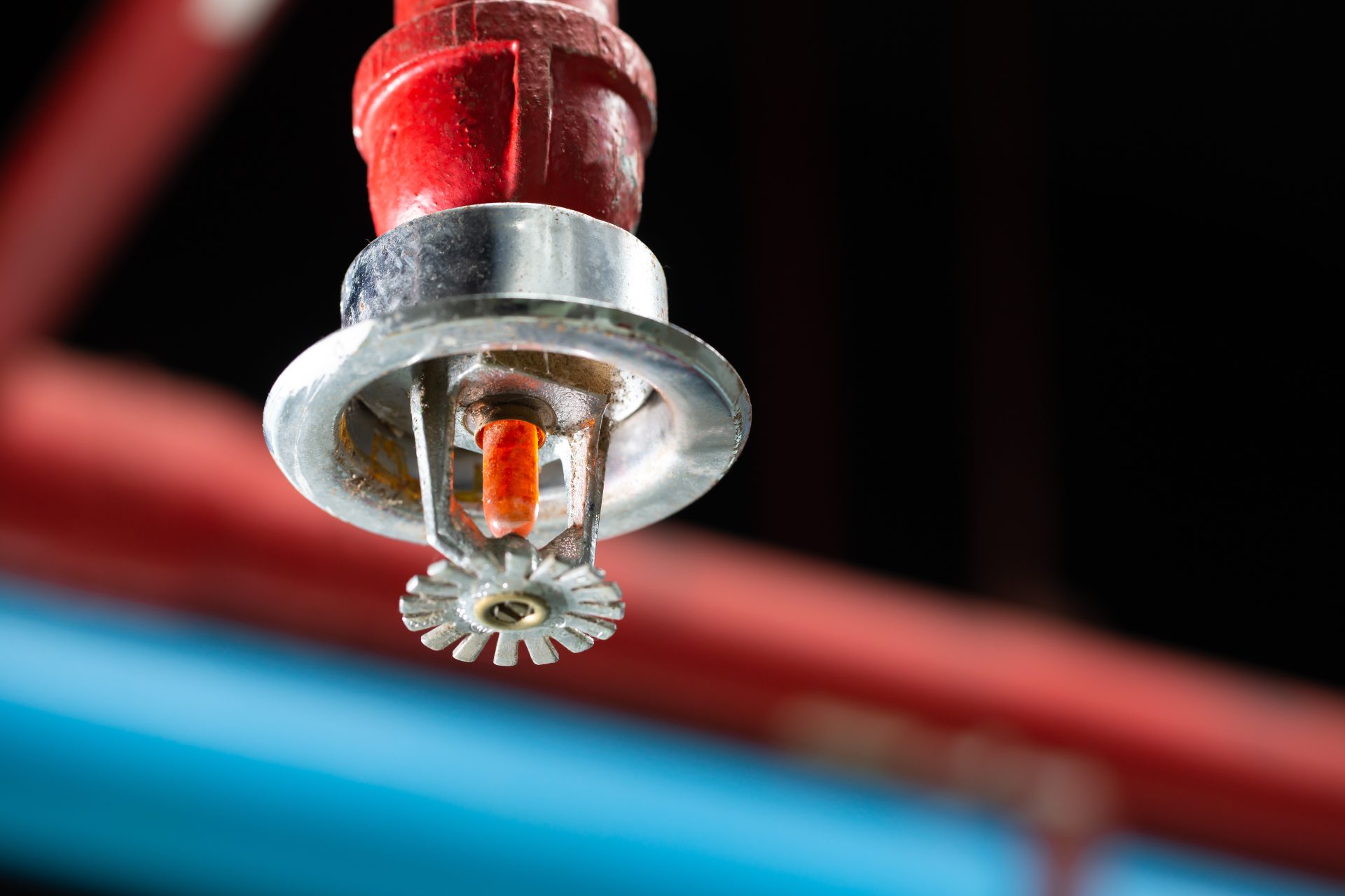 Close-up of a red fire sprinkler systems head with a glass bulb, mounted on a ceiling pipe system—used for commercial fire suppression and safety.