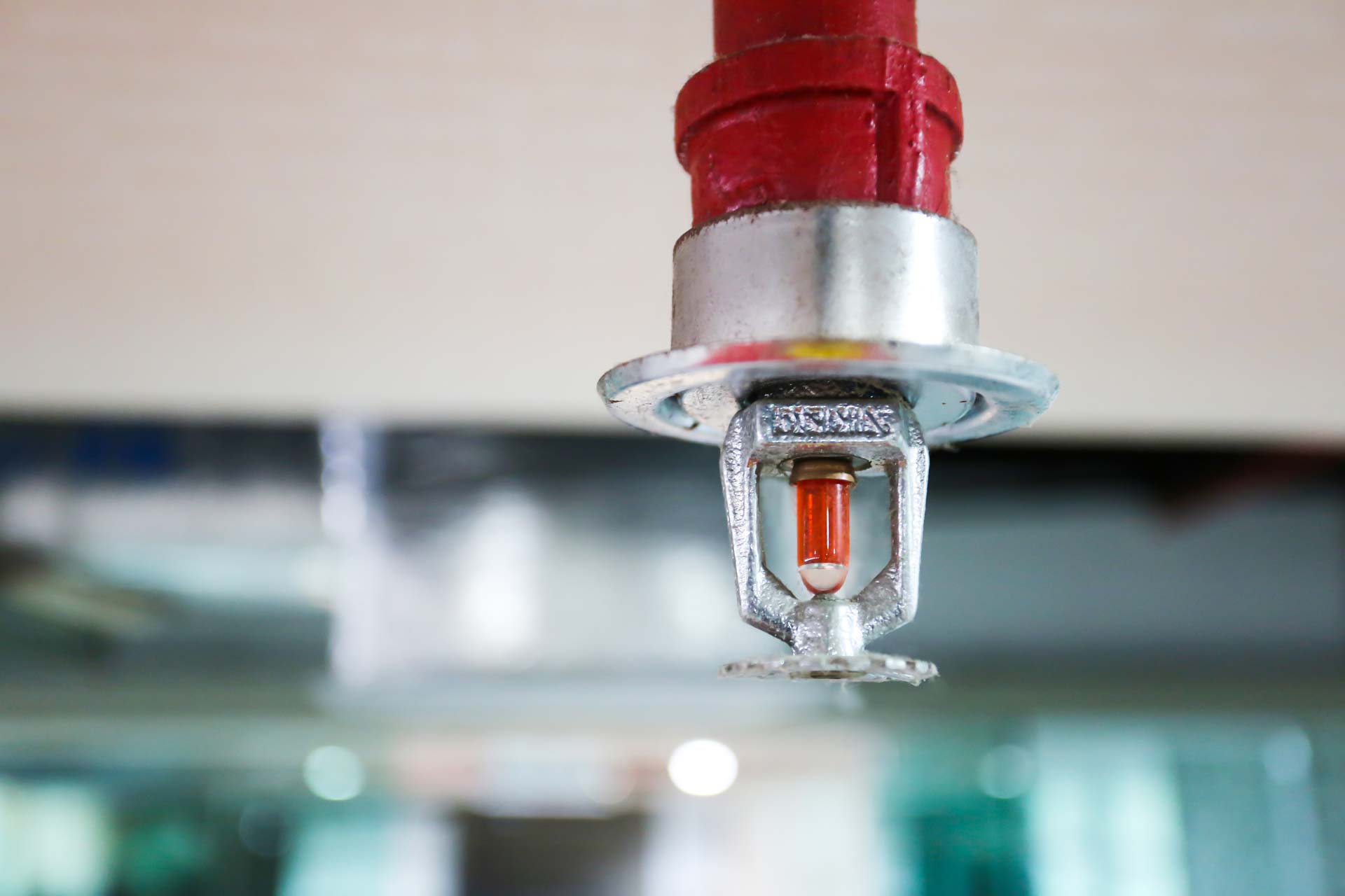 Close-up of a ceiling-mounted red fire sprinkler systems head with a glass bulb, part of a commercial fire protection system for buildings and offices.